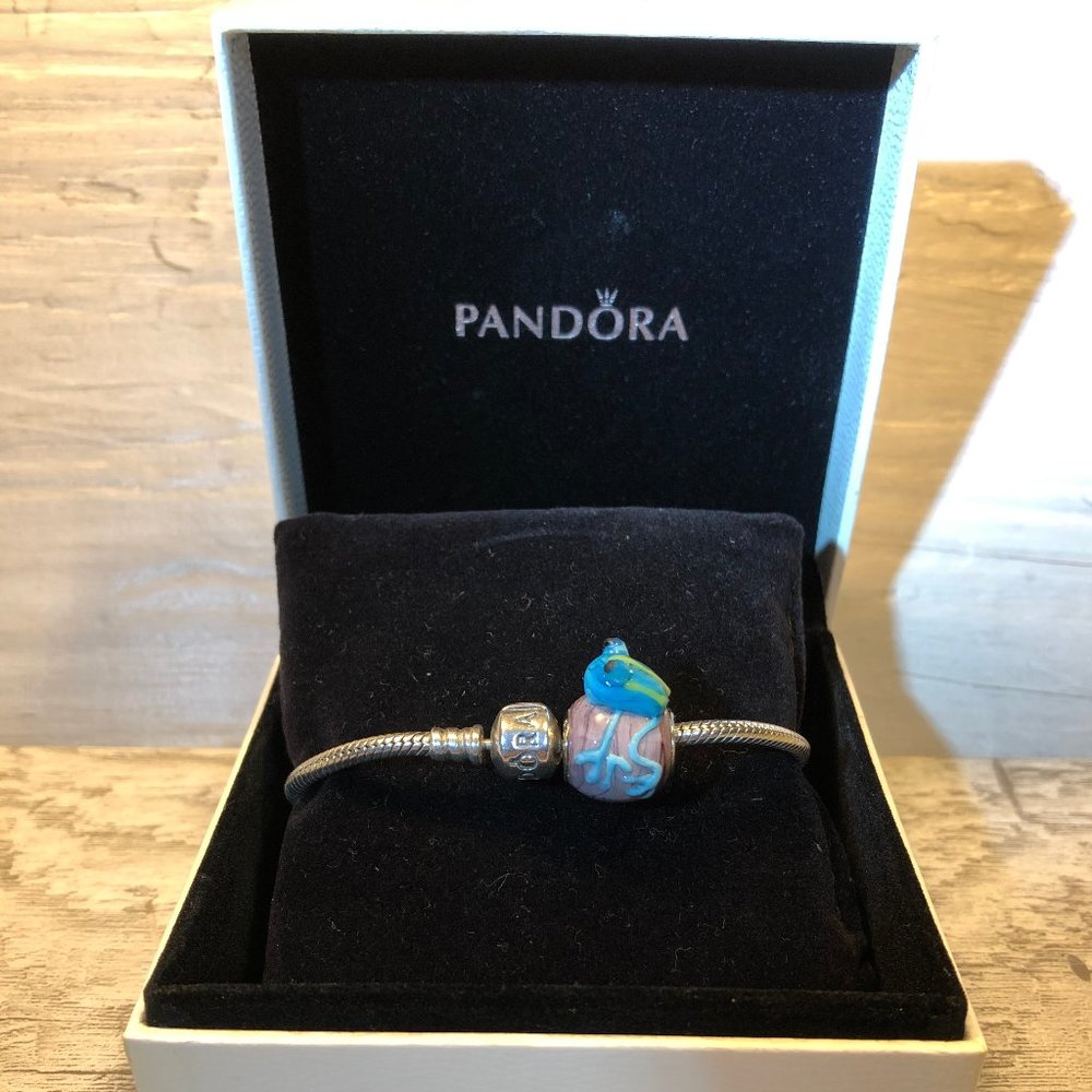 Pandora Bracelet with Charm